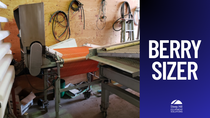 Used Fresh Berry Sizer