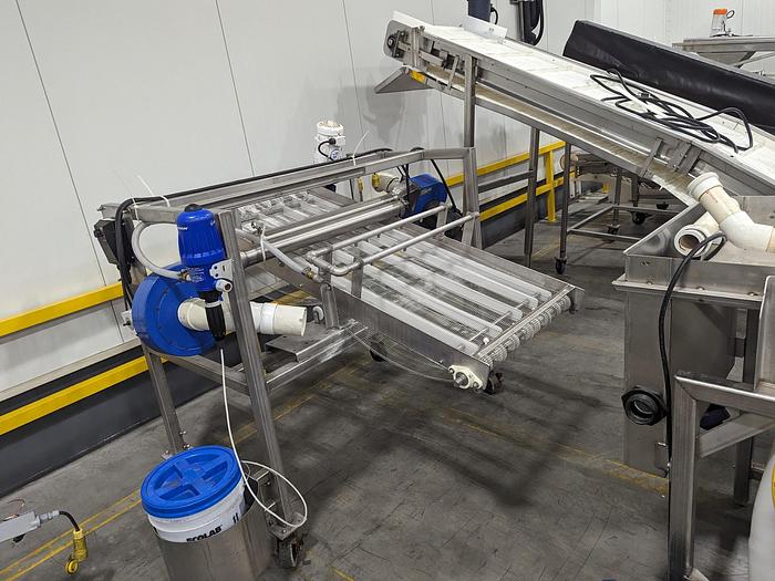 Used Rinse & Dry Berry Conveyor