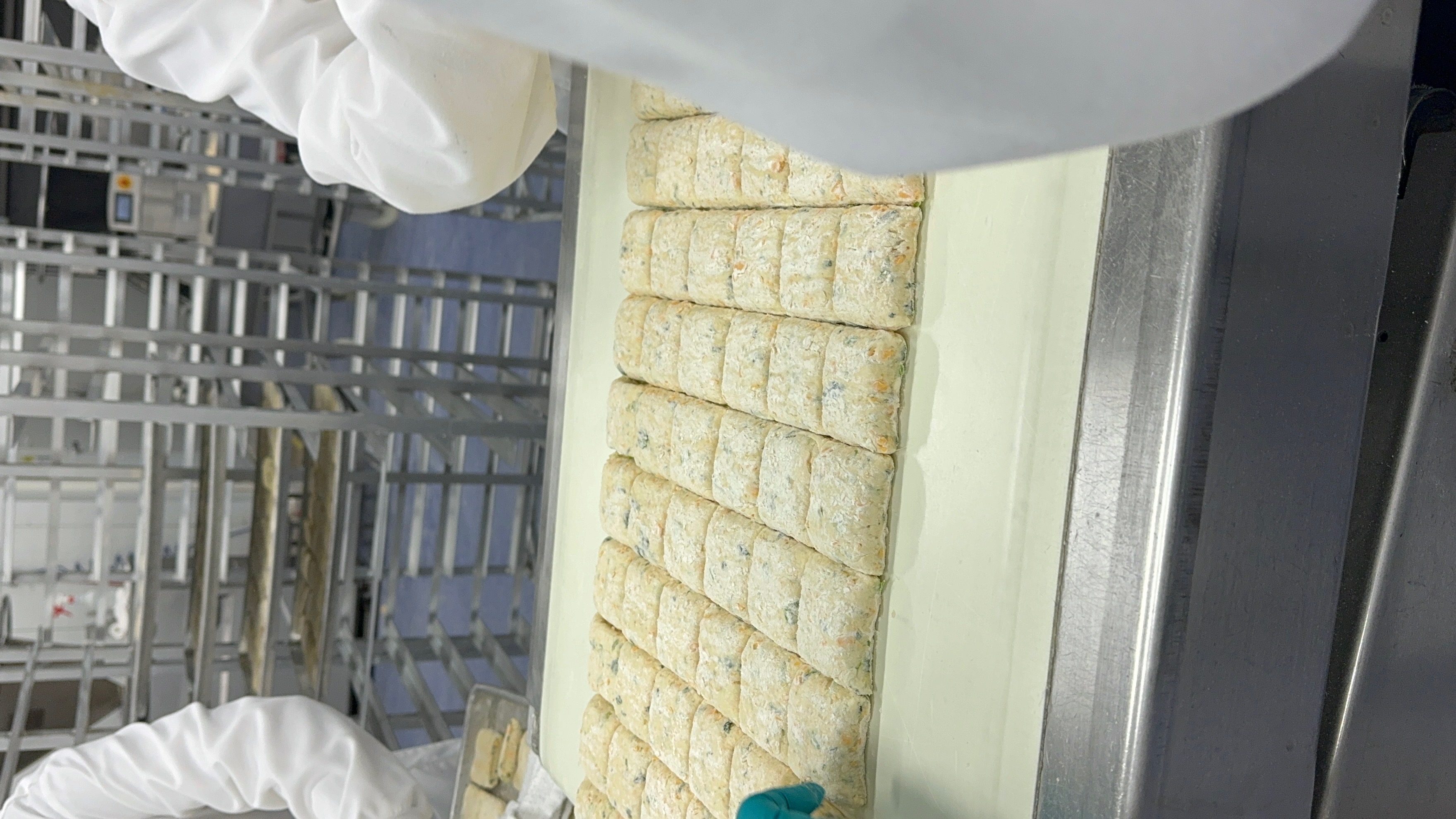 Used Rheon Bread Line