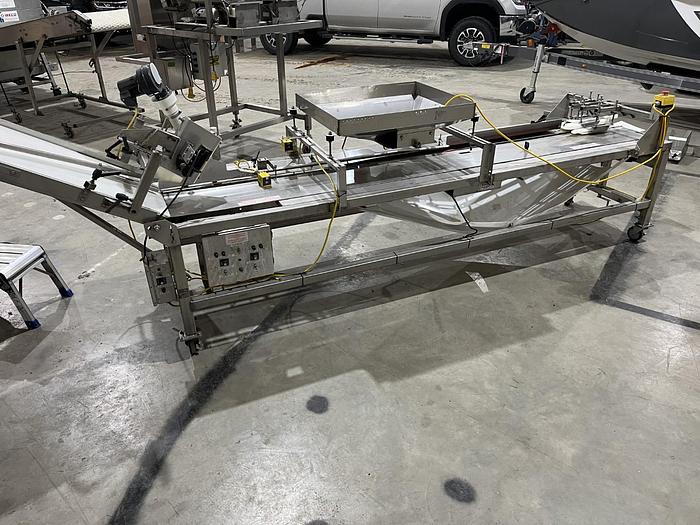 Used Berry Sorting and Filling Line