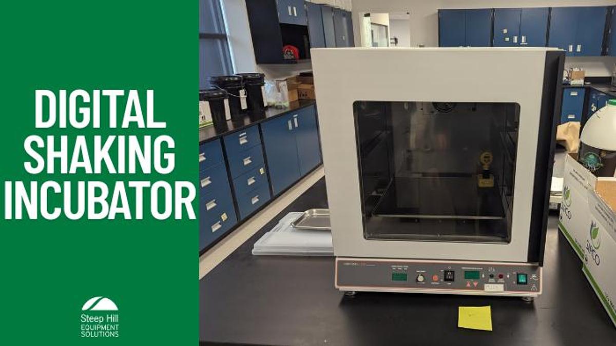 Used Labnet 311DS Digital Shaking Incubator
