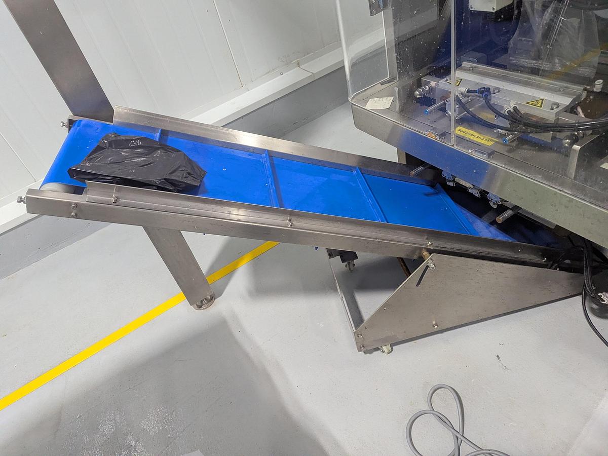 Used 10-Head Scale Bagger System with Infeed Conveyor 