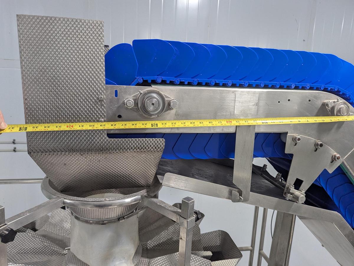 Used 10-Head Scale Bagger System with Infeed Conveyor 