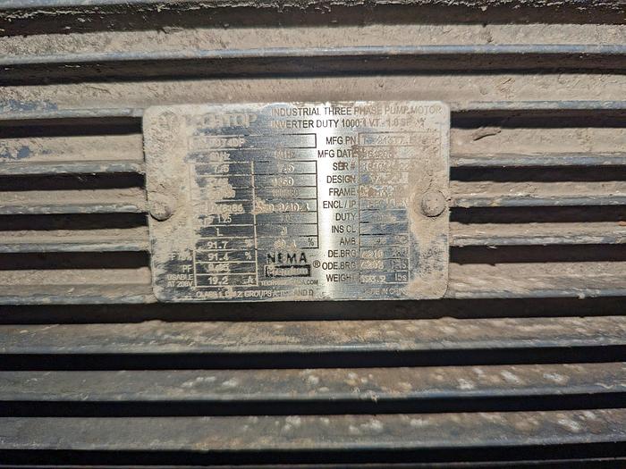 Used Pumpkin Squash Inspection & Cleaning Line