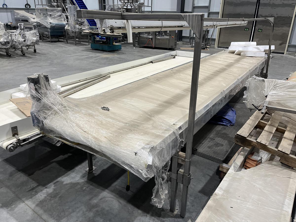 Used 19ft Inspection Conveyor