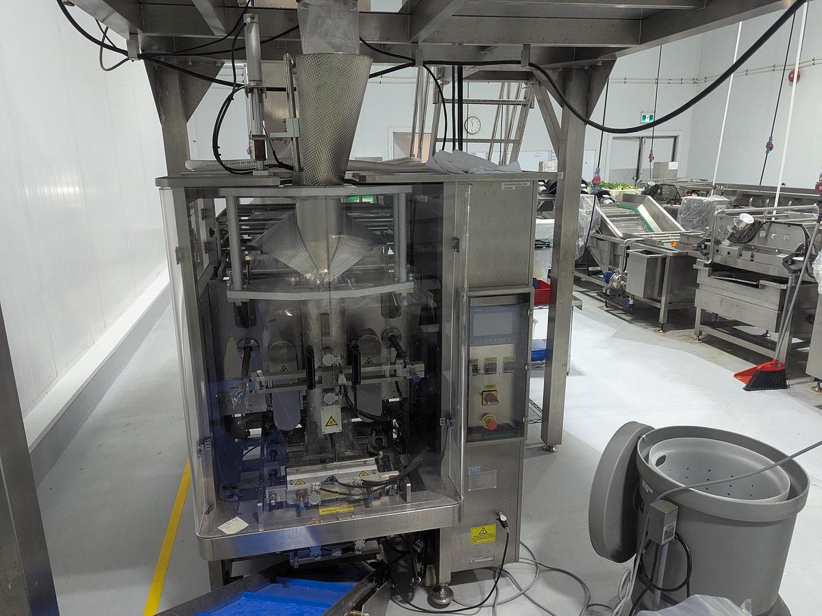 Used 10-Head Scale Bagger System with Infeed Conveyor 