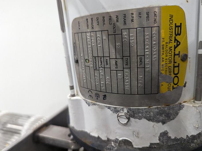 Used Rinse & Dry Berry Conveyor