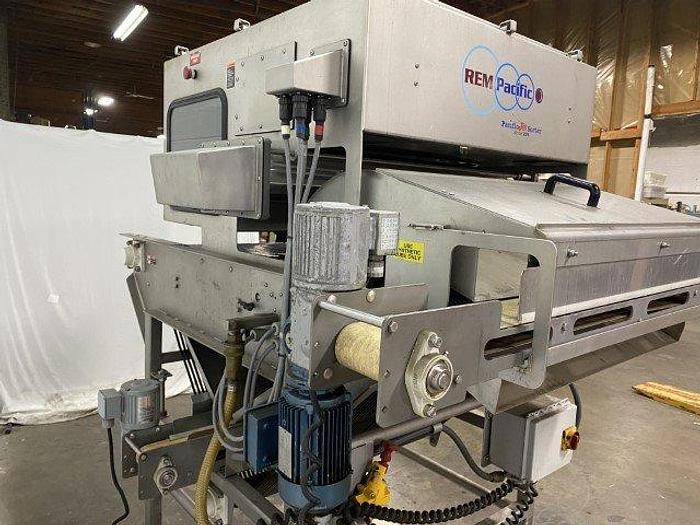 Used REM Pacific JET Optical Berry Sorter