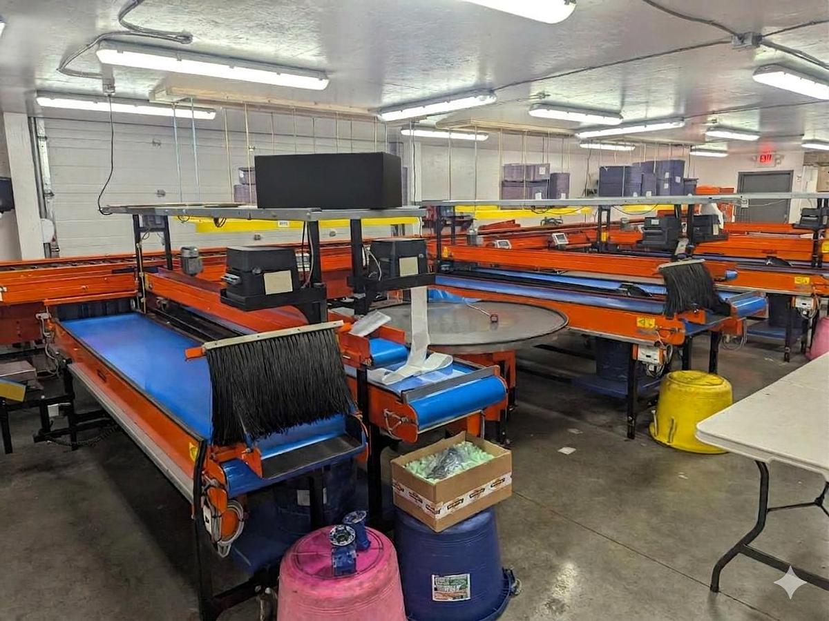 Used Van Wamel Tree Fruit Sorting and Packing Line