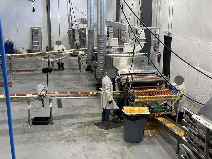 Used AMTek Industrial Microwave Conveyor System