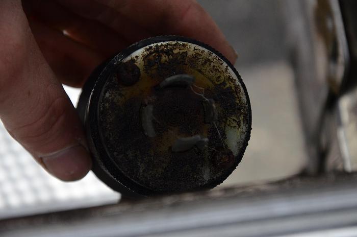 Used 10' Berry Destemmer