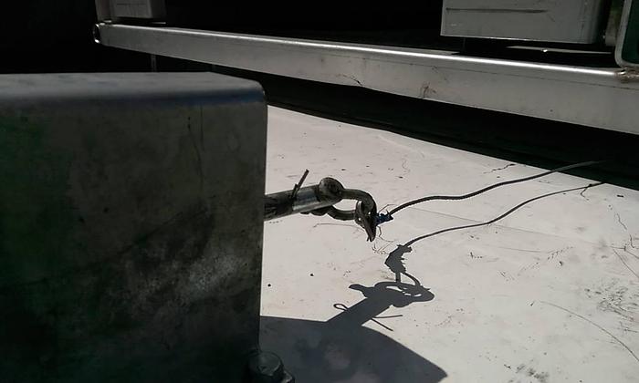 Used Double Door for a Freezer Room