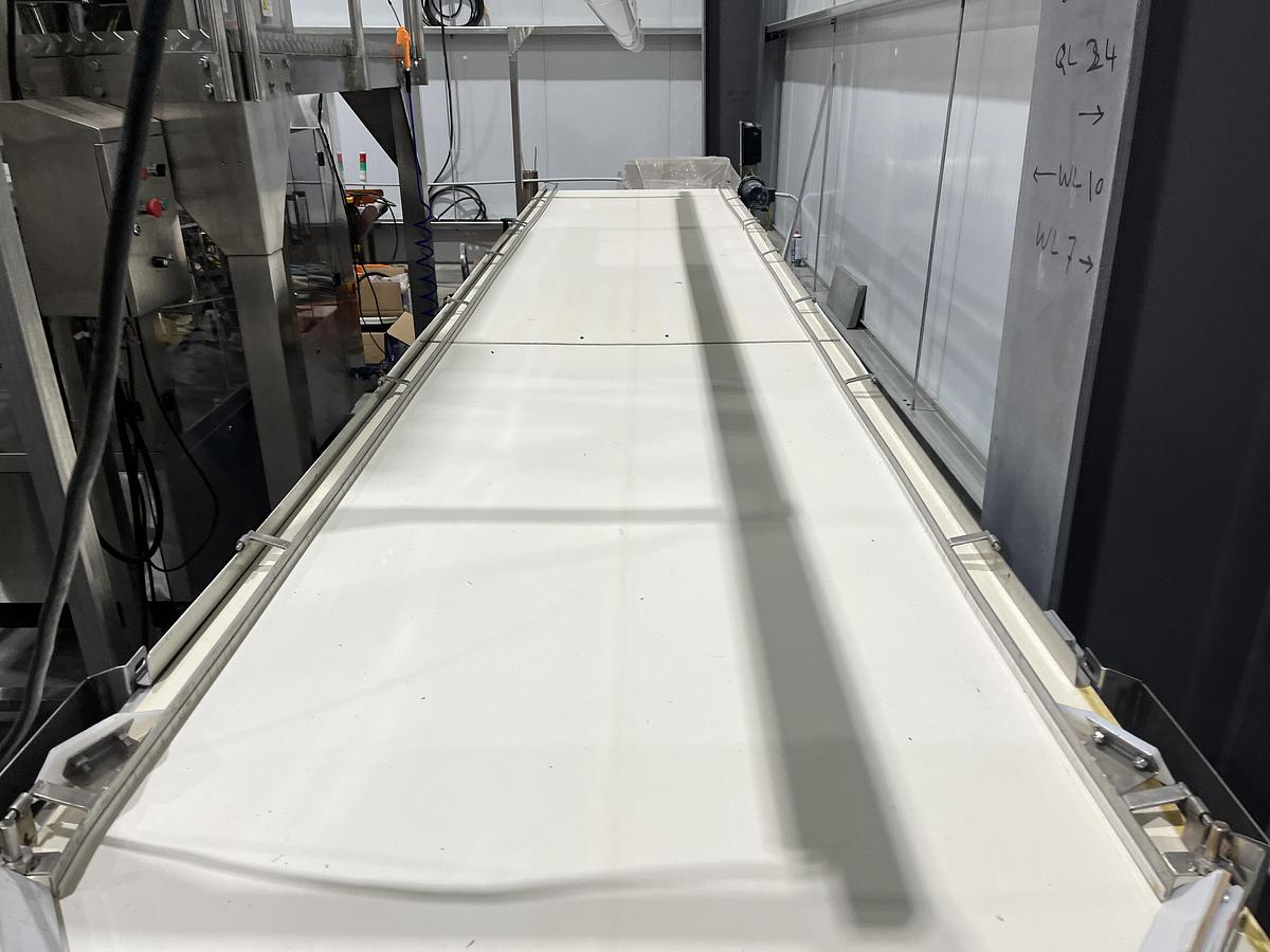 Used 19ft Inspection Conveyor