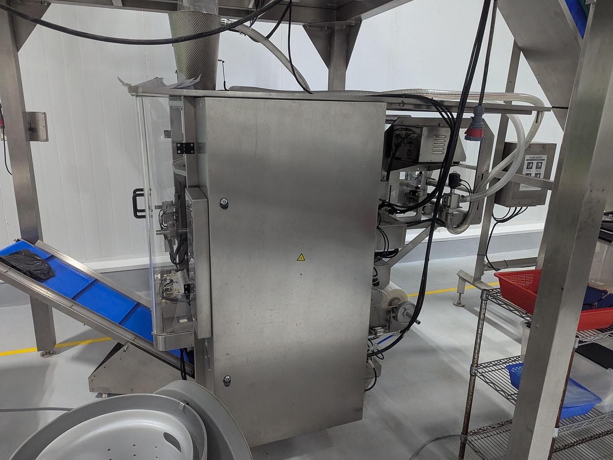 Used 10-Head Scale Bagger System with Infeed Conveyor 