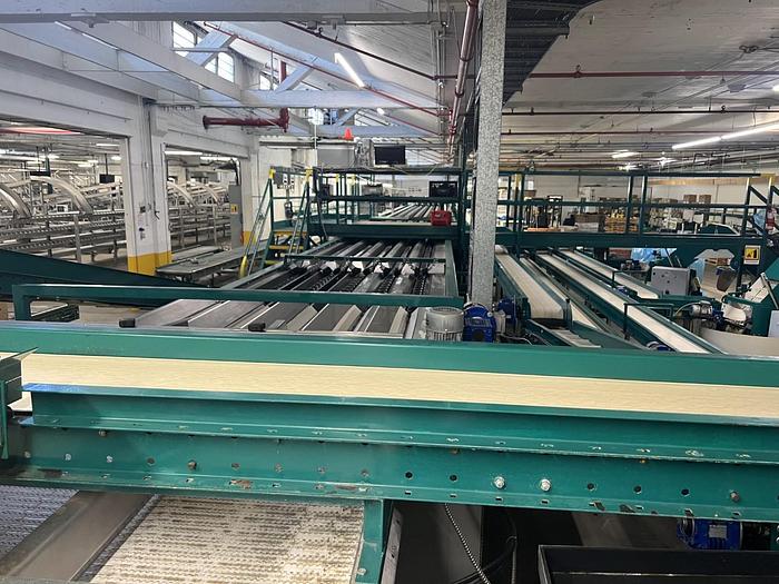 Used Complete Pear Processing Line