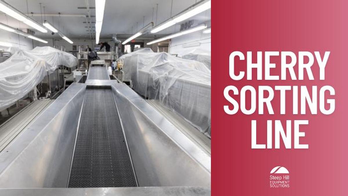 Used Unitec Cherry Vision 2 12-Lane Cherry Sorting Line