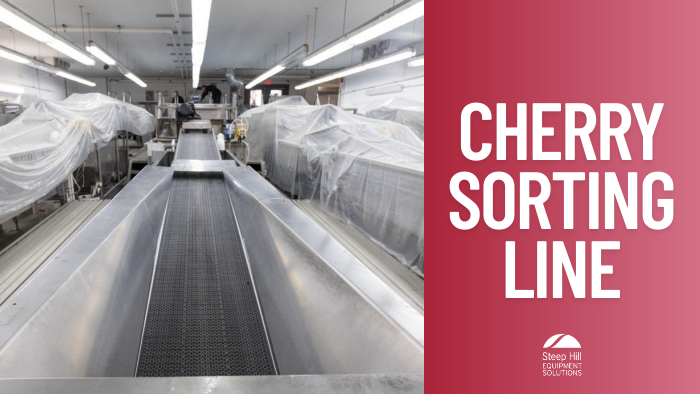 Used Unitec Cherry Vision 2 12-Lane Cherry Sorting Line