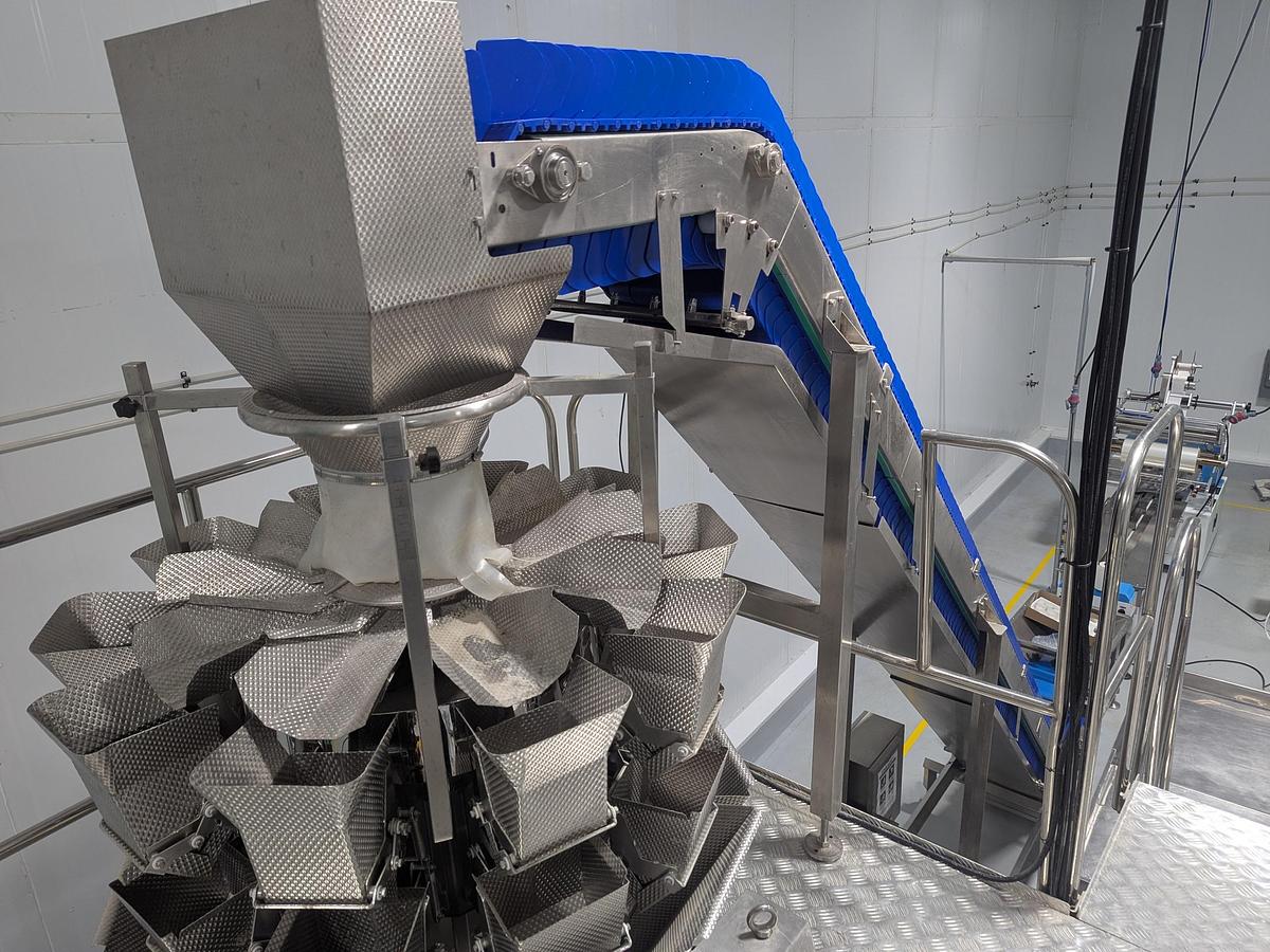 Used 10-Head Scale Bagger System with Infeed Conveyor 