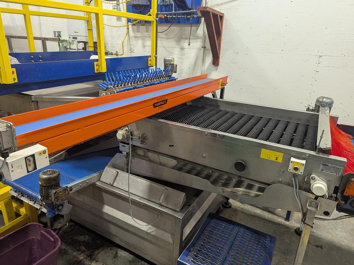 Used Van Wamel Tree Fruit Sorting and Packing Line