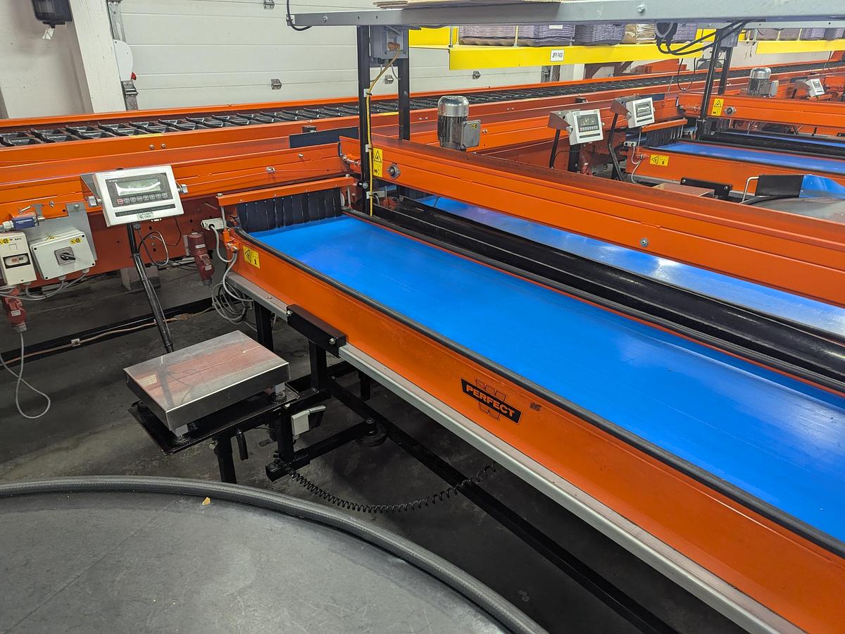 Used Van Wamel Tree Fruit Sorting and Packing Line