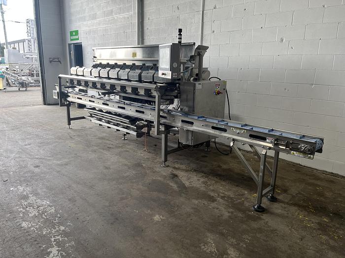 Used Andgar 10-Lane Berry Filler