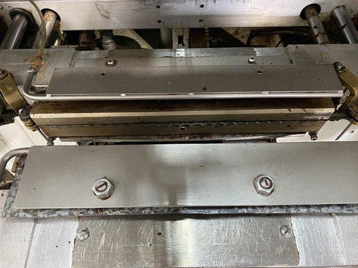 Used Woodman Polaris 'E' VFFS Bagmaker