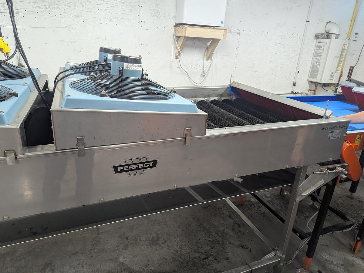 Used Van Wamel Tree Fruit Sorting and Packing Line