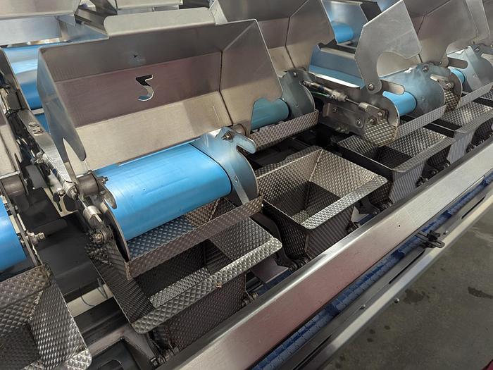 Used Andgar 10 Lane Berry Filler