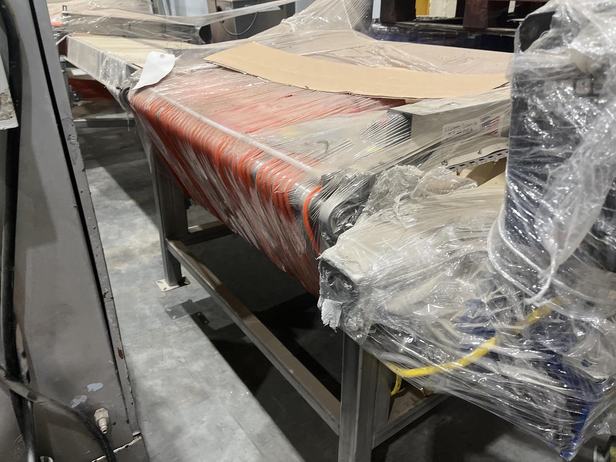 Used Berry Sizing Conveyor