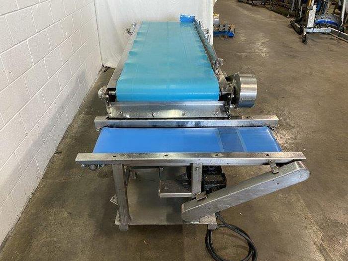 Used Food-Grade Conveyor With Diverter Conveyor