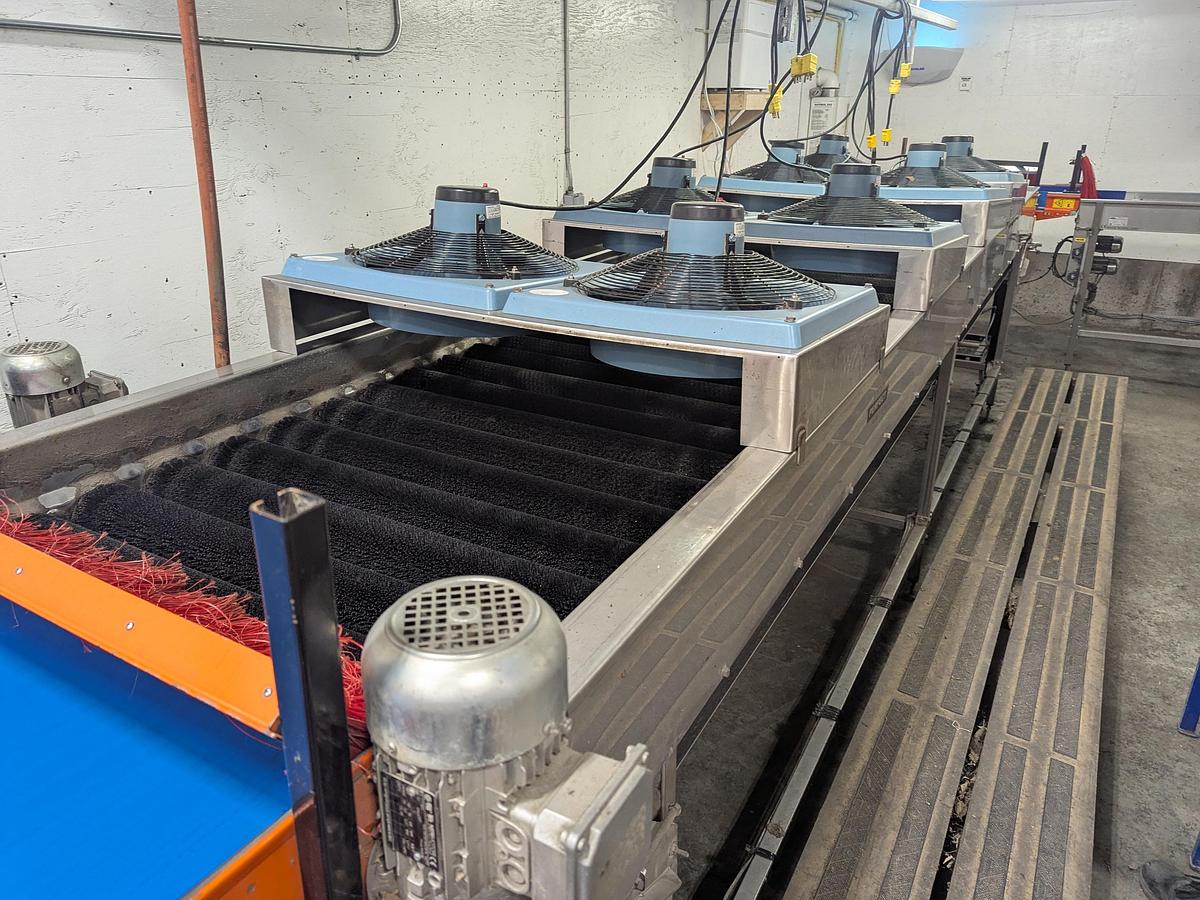 Used Van Wamel Tree Fruit Sorting and Packing Line