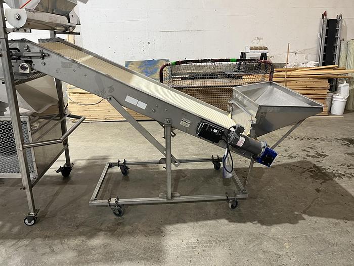 Used Berry Sorting and Filling Line