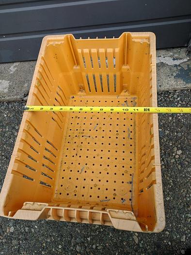 Used Produce Trays