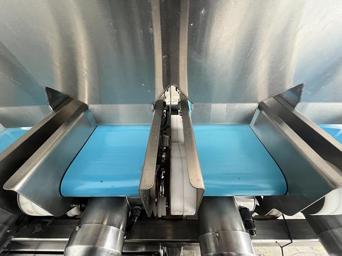 Used Andgar 10-Lane Berry Filler