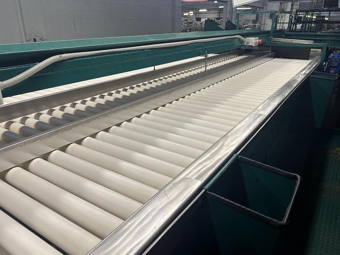 Used Complete Pear Processing Line