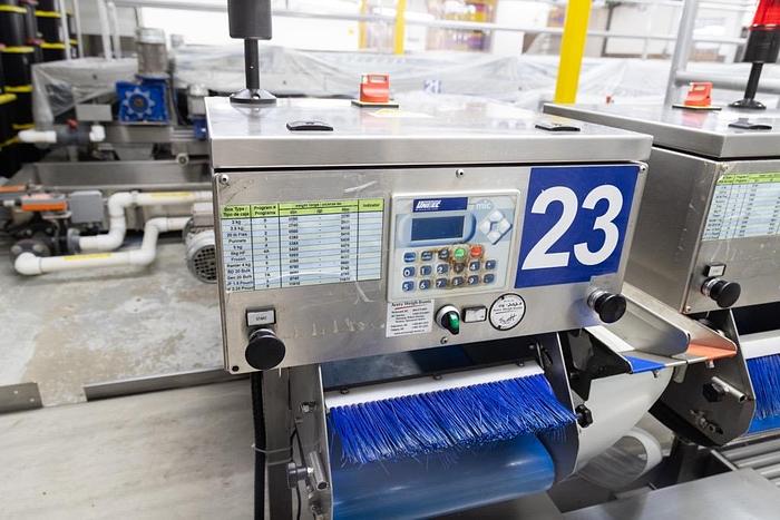 Used Unitec Vision 2 Cherry Sorting Line