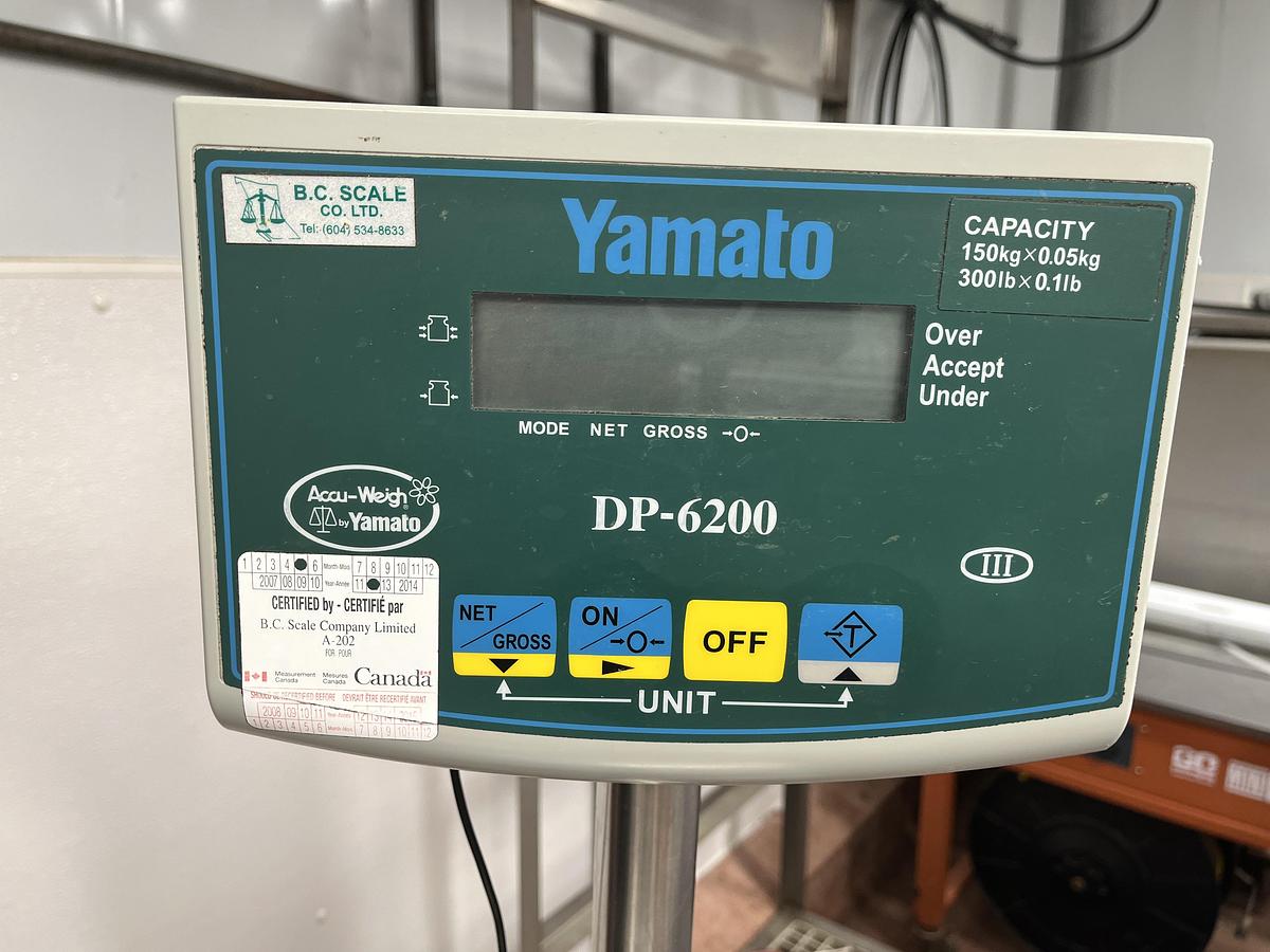 Used Yamamoto DP-6200 Bench Scale