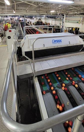 Used Apple Sorting Line