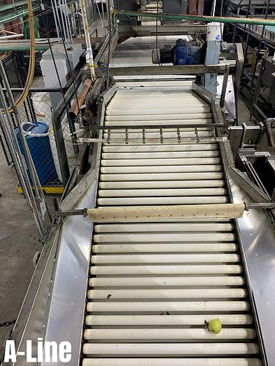 Used Blue Bird Pear Line