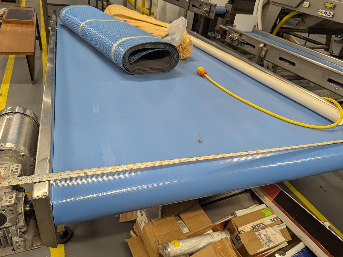 Used 64''W Sorting Conveyor