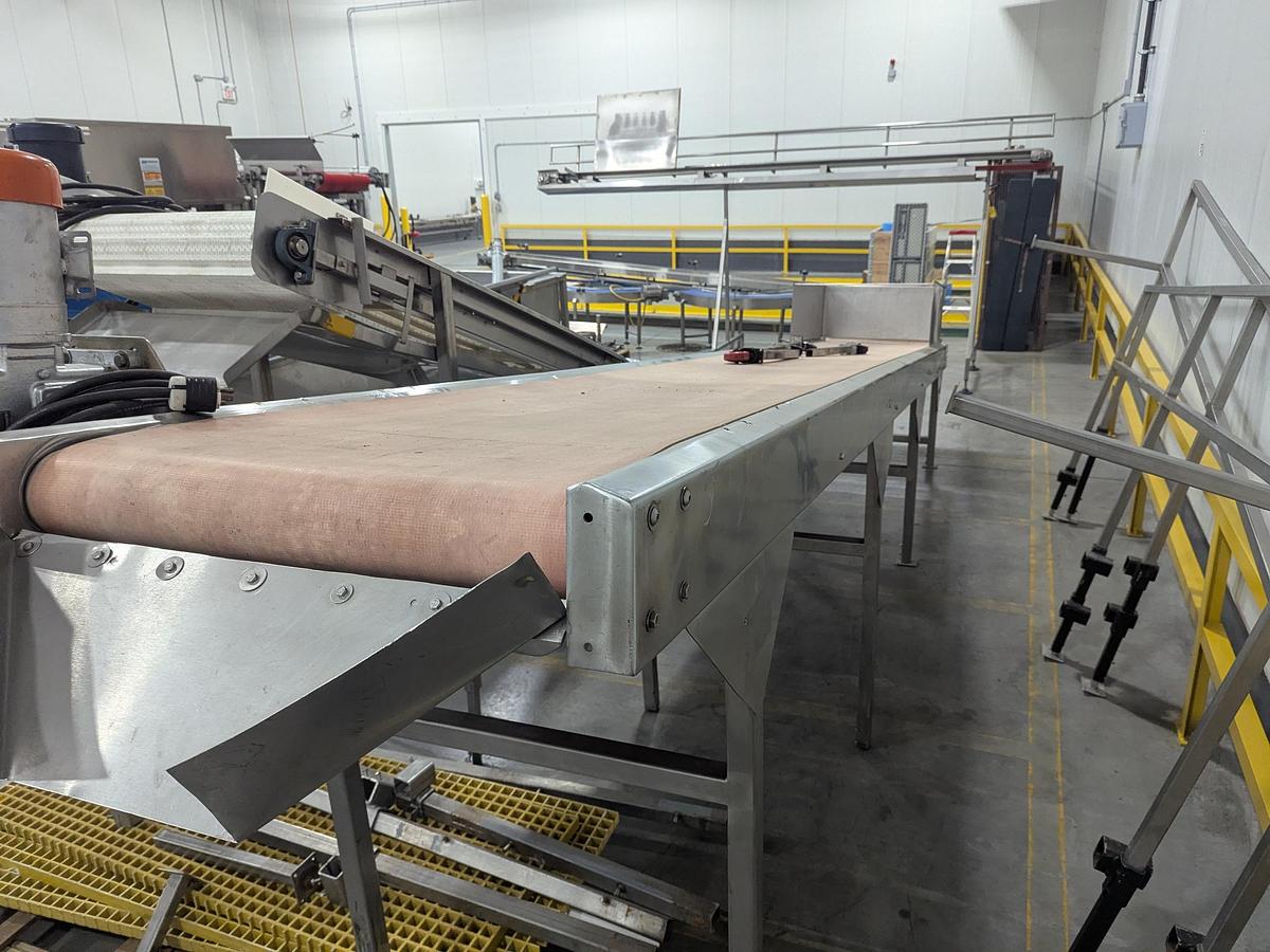 Used Inclined Grading Conveyor
