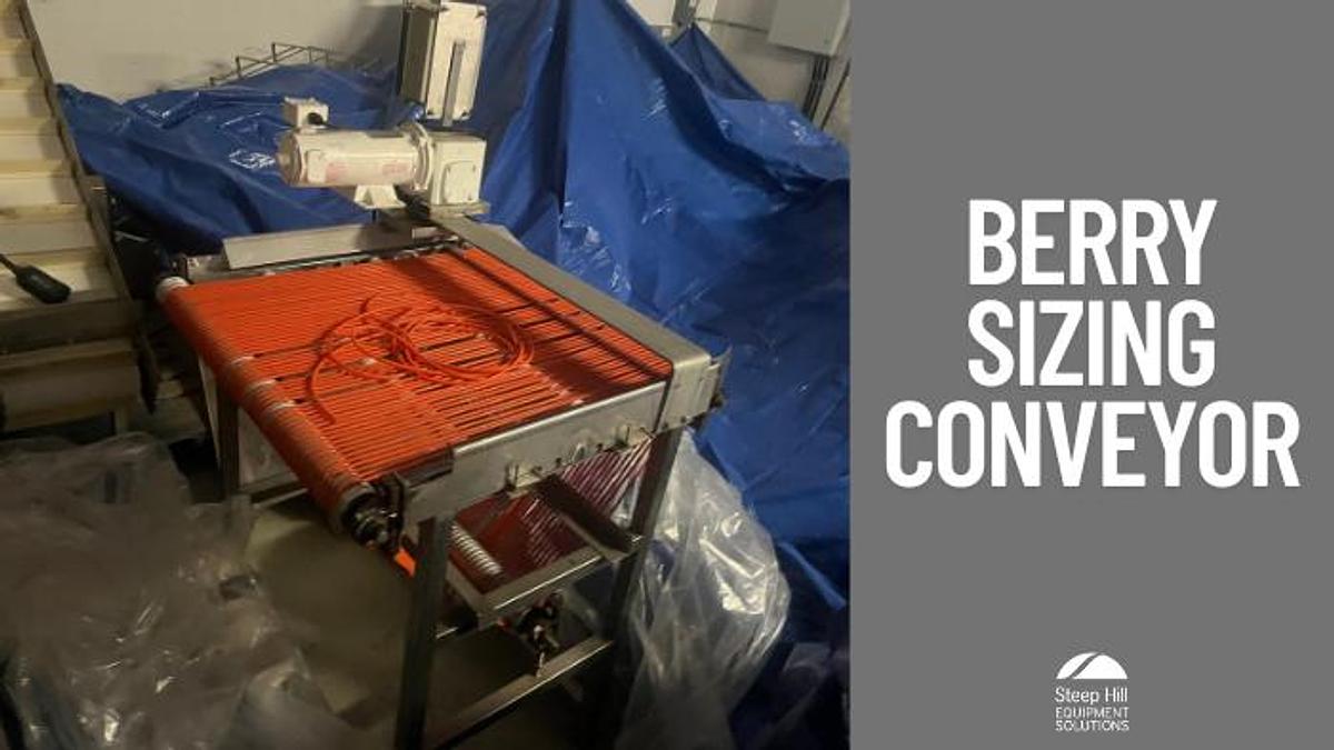 Used Berry Sizing Conveyor