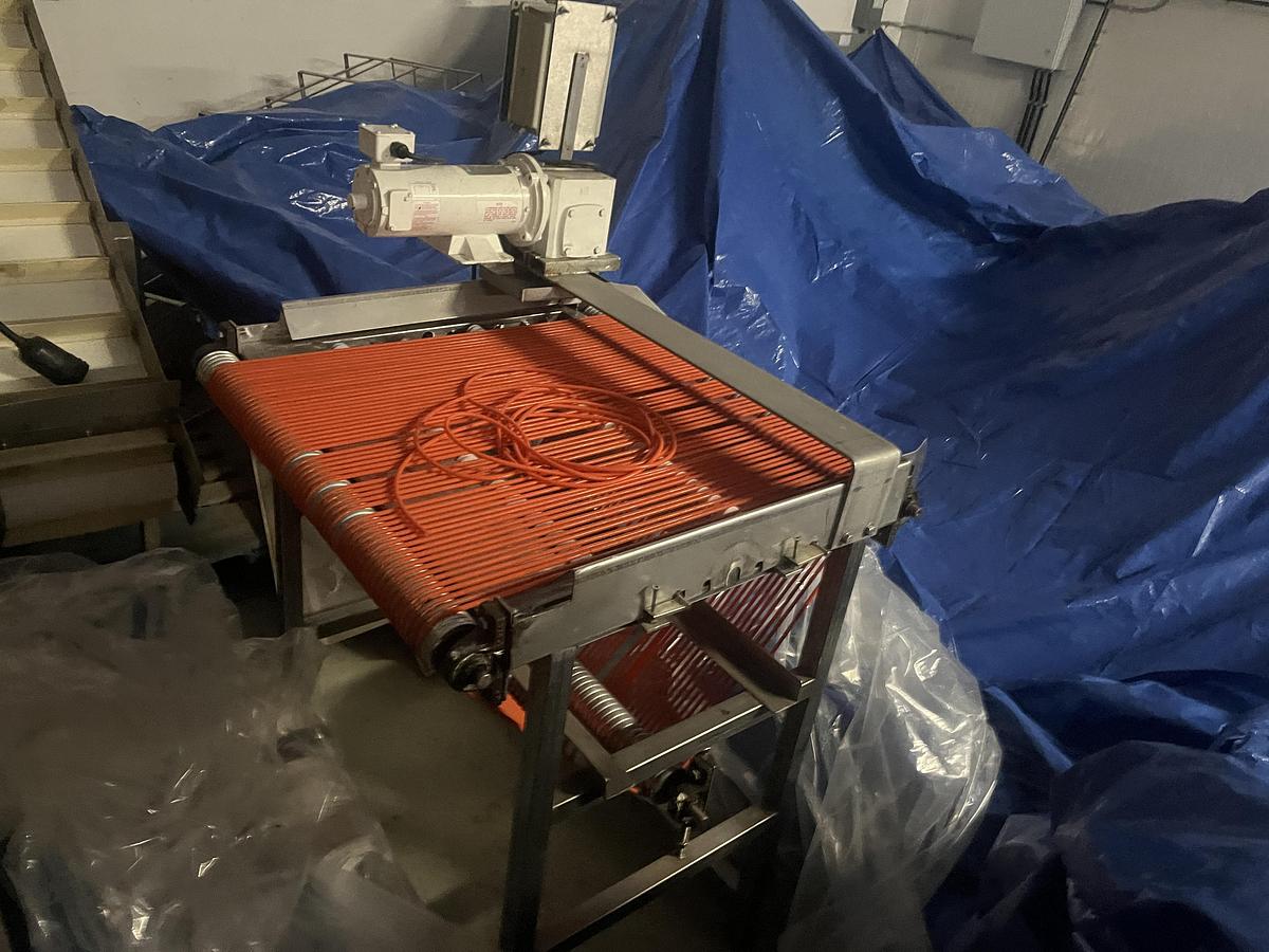 Used Berry Sizing Conveyor