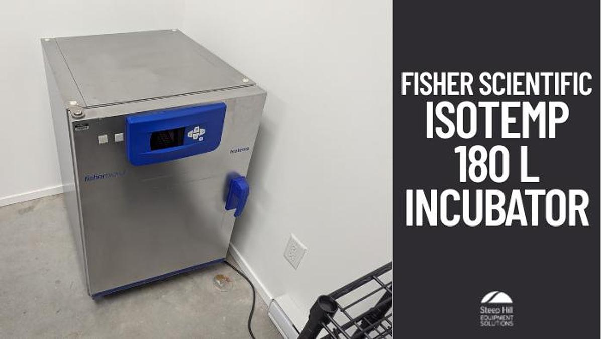 Used Thermo Scientific Fisherbrand Isotemp 180L Incubator