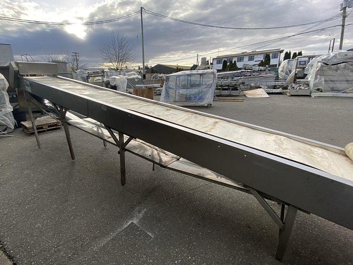 Used Incline Berry Inspection Conveyor