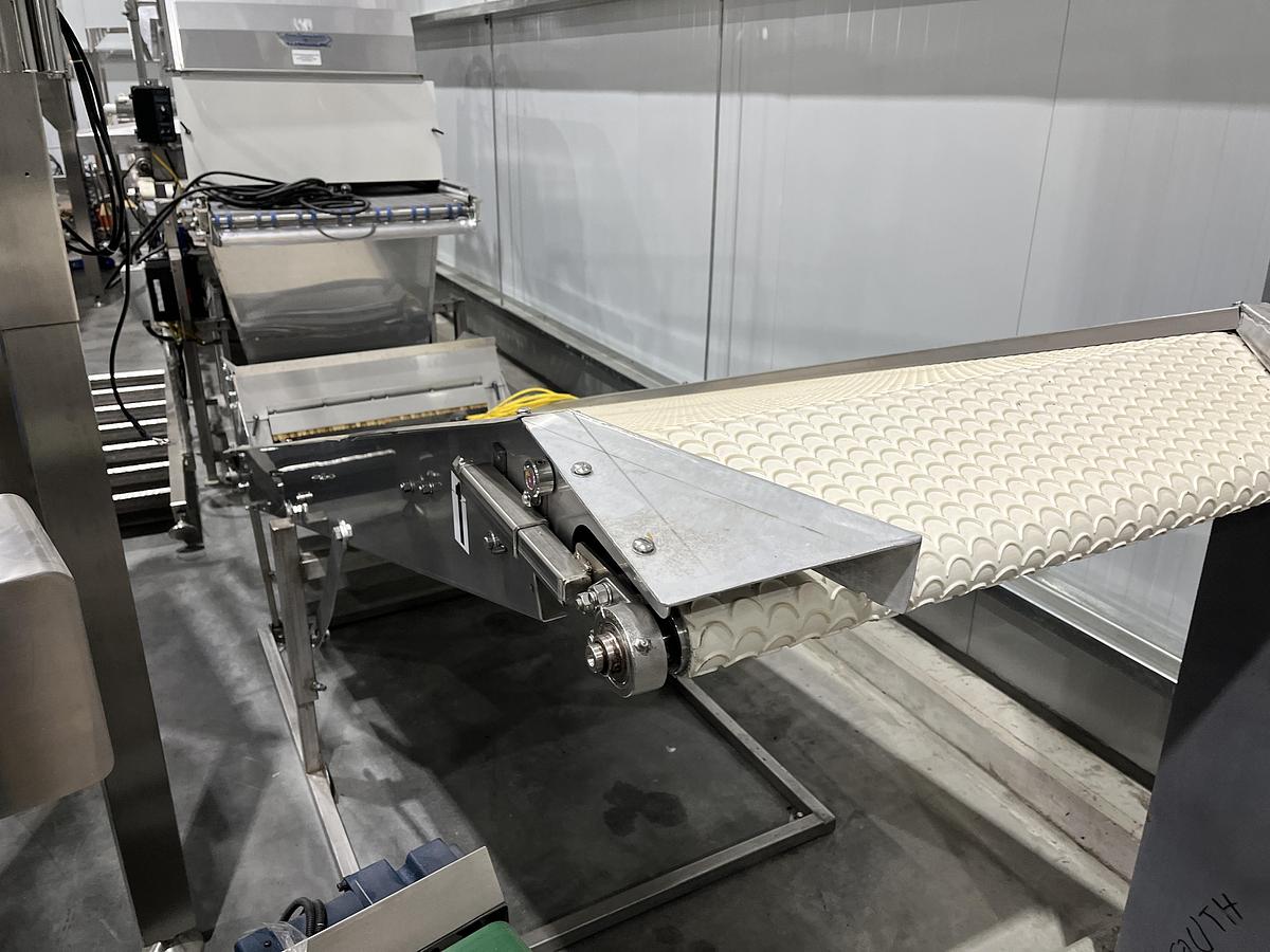 Used Scalloped Belt Incline Conveyor with Hopper