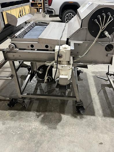 Used Berry Sorting and Filling Line