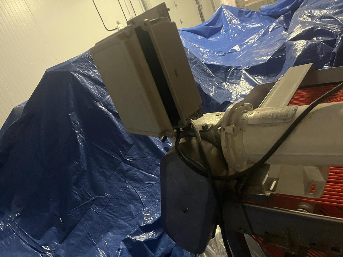 Used Berry Sizing Conveyor