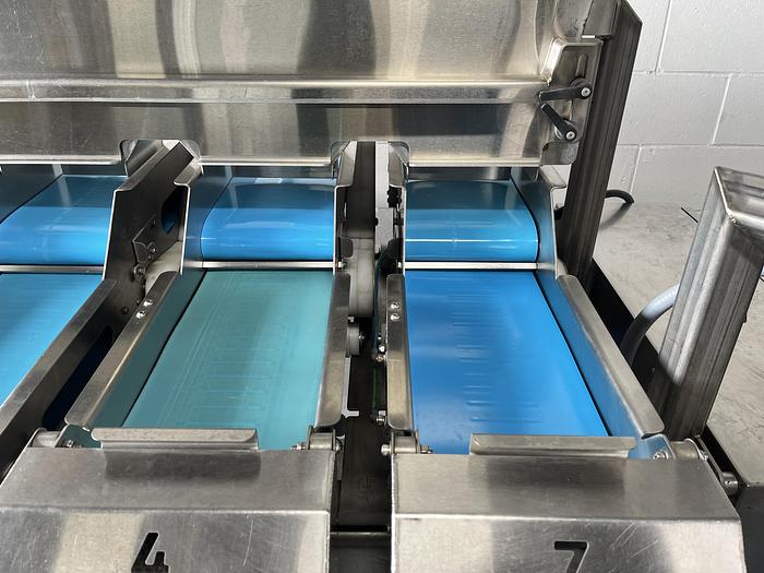 Used Andgar 10-Lane Berry Filler