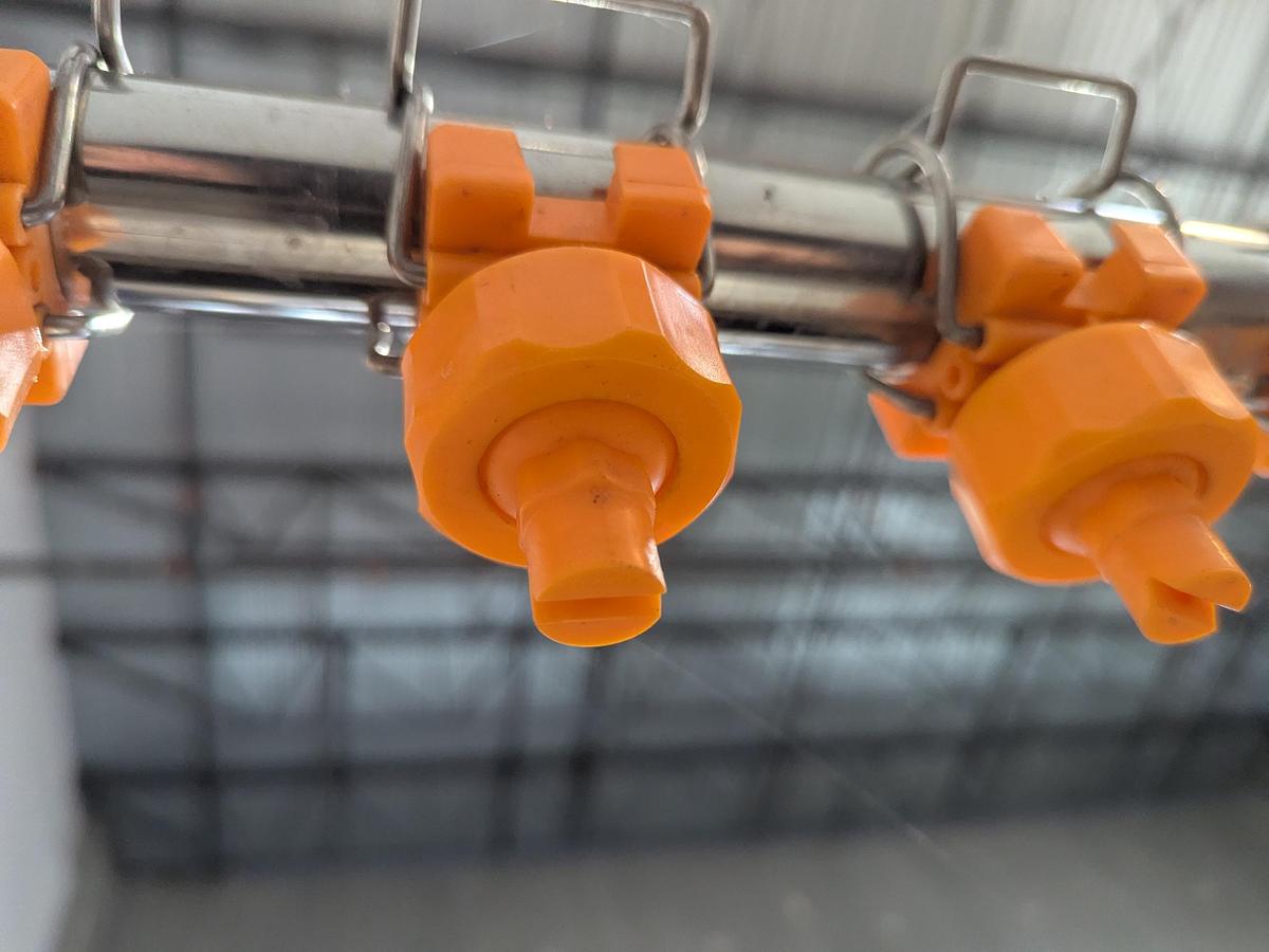 Used  SS Rinsing Conveyor